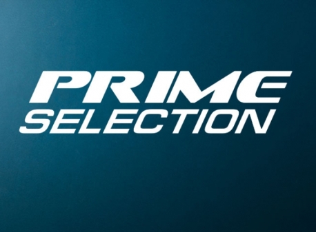 В Краснодаре стартует новый бойцовский проект «PRIME Selection»