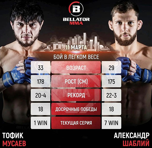 Бой Александр Шаблий vs. Тофик Мусаев состоится в марте