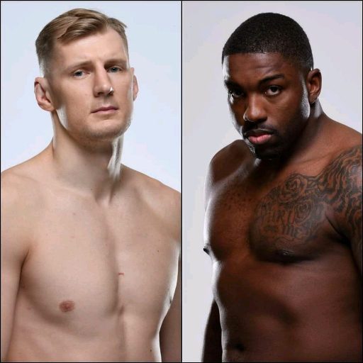 Бой Александр Волков - Уолт Харрис на турнире UFC 254